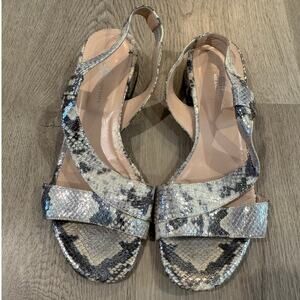 Michele Lopriore Gray Snake Skin Low Heel Sling Back Sandals Size 39/US8.5